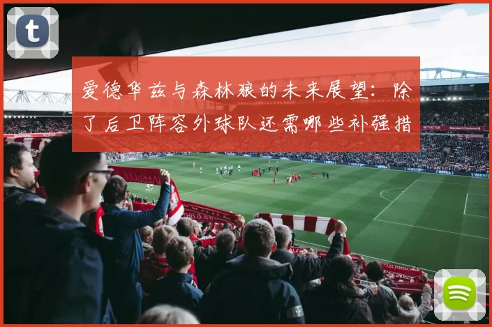 爱德华兹与森林狼的未来展望：除了后卫阵容外球队还需哪些补强措施