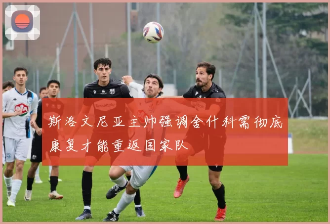 斯洛文尼亚主帅强调舍什科需彻底康复才能重返国家队